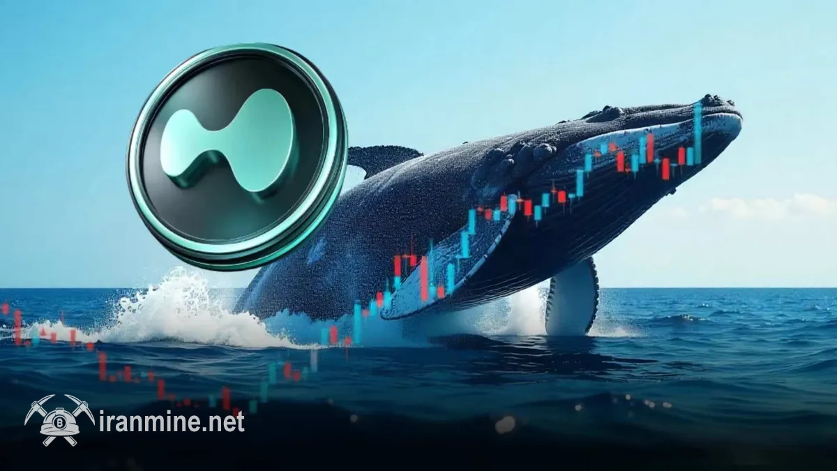 بازگشت نهنگ معروف و پرحاشیه صرافی هایپرلیکویید به بازار رمزارزها | ایران ماین