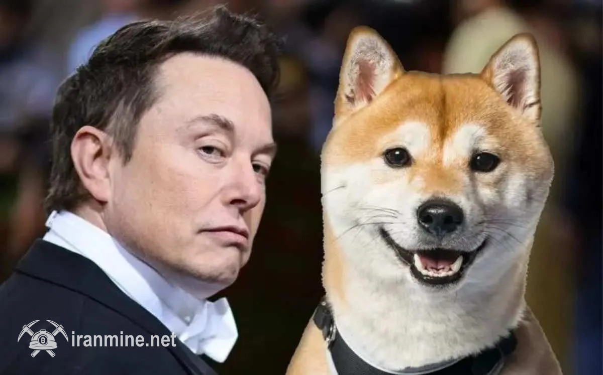 ایلان ماسک با عرضه یک توییت نرخ میم کوین فلوکی را پامپ کرد! | ایران ماین