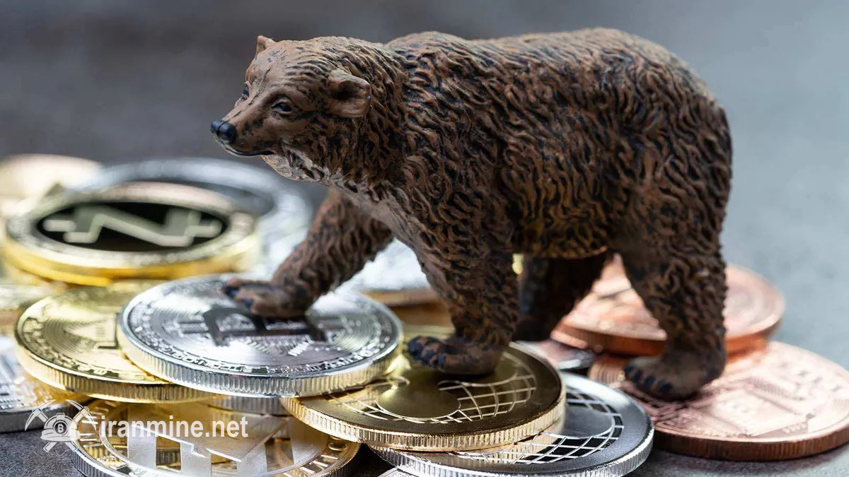 بررسی‌کننده برجسته بازار: بازار نزولی آینده می‌تواند مثل بحران ۲۰۰۸ ویرانگر باشد | ایران ماین