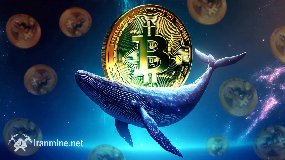 نهنگ معروف صرافی هایپرلیکویید حجم پوزیشن فروش بیت کوین خود را بالا رفتن داد | ایران ماین