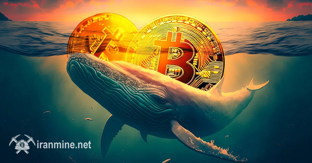 جابجایی ۵۸۸ میلیون دلار بیت‌ کوین به صرافی‌ توسط نهنگ مشکوک | ایران ماین