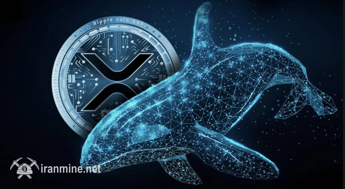 بالا رفتن فعالیت نهنگ‌ها و احتمال جهش نرخ ریپل (XRP) | ایران ماین
