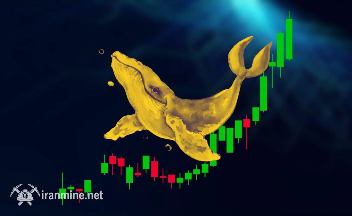 توسعه ۷۸ درصدی نرخ نشان ترامپ در یک ماه اخیر با بالا رفتن خرید نهنگ‌ها | ایران ماین