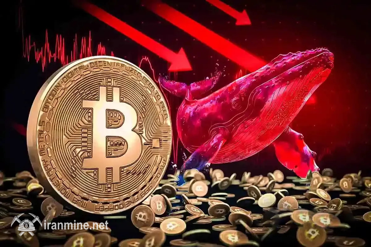 هشدار پلتفرم سنتیمنت: نهنگ‌های بازار در حال فروش عمده بیت کوین هستند | ایران ماین