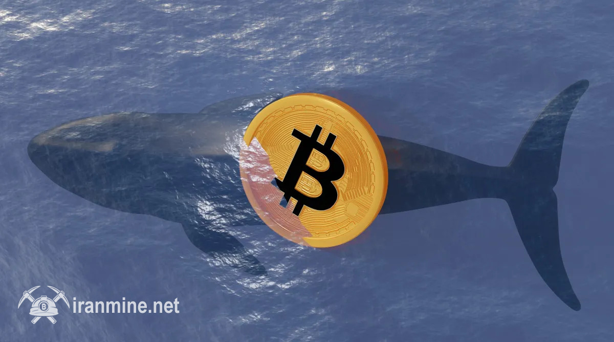 قمار سنگین نهنگ پرحاشیه بازار روی سقوط بیت کوین تا ۹۲ هزار دلار | ایران ماین