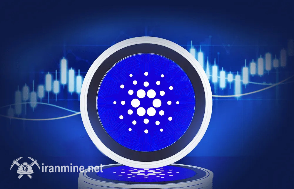 یک هولدر ۵ ساله کاردانو ۶ میلیون دلار را در چند ثانیه از دست داد | ایران ماین