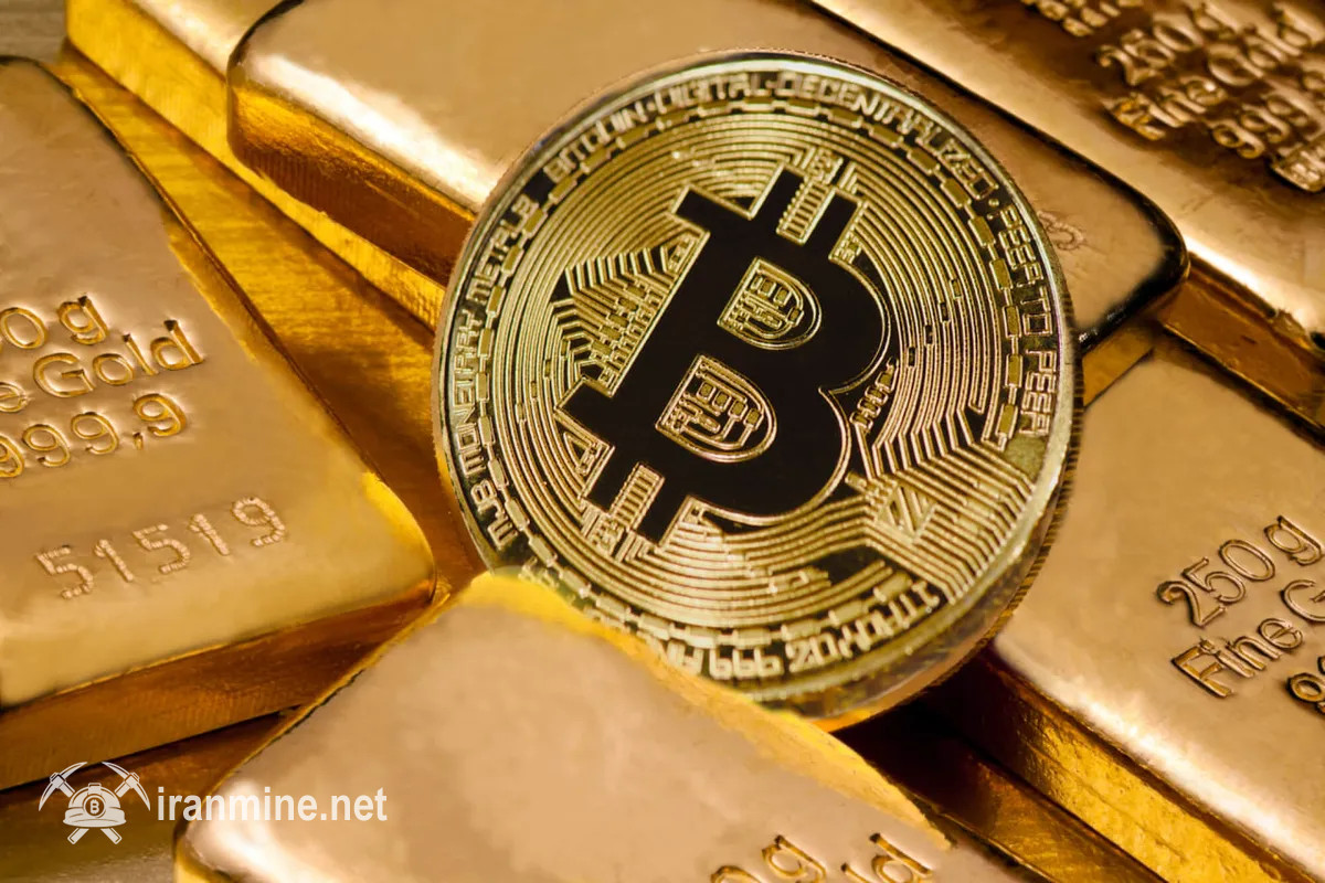 ادعای جنجالی کارشناس ETF: بیت‌ کوین هنوز طلای دیجیتال نیست | ایران ماین