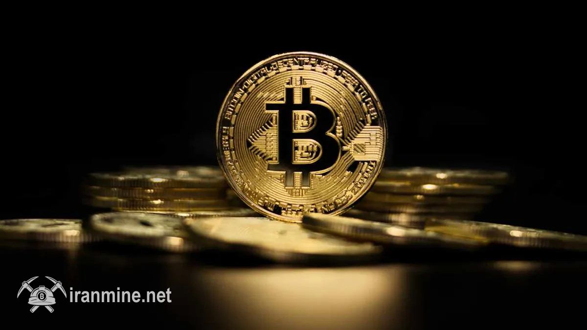 خطر جدی موج ورشکستگی برای خزانه‌داری‌های کریپتو در سال ۲۰۲۶ | ایران ماین