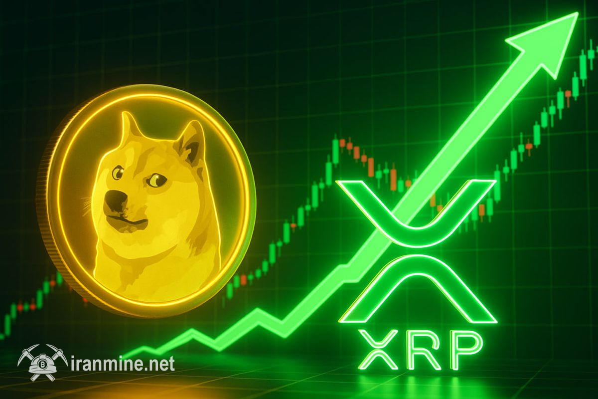 رسمی‌شدن صندوق‌های ETF دوج کوین و ریپل در بورس نیویورک | ایران ماین