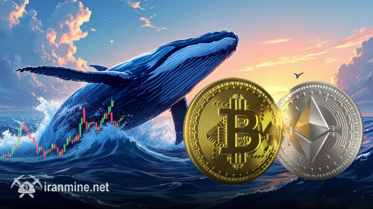 توقف فروش بیت کوین توسط هولدرهای قدیمی و بالا رفتن خرید نهنگ‌های اتریوم | ایران ماین