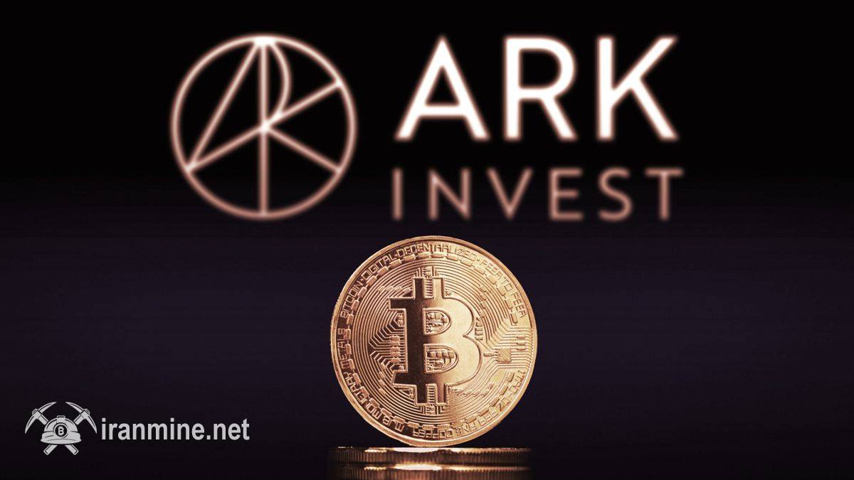 خرید سنگین آرک اینوست در زمان نزولی شدن نرخ بیت کوین؛ کتی وود از سقوط بازار برای انباشت بهره می‌برد | ایران ماین