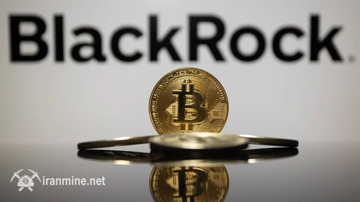 نوسان شدید بیت کوین؛ سقوط به زیر ۶۶,۰۰۰ دلار در پی جابجایی دارایی‌های بلک راک | ایران ماین
