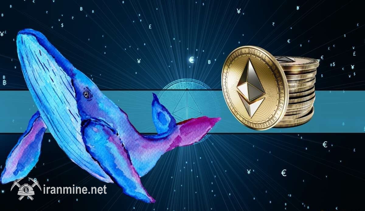سردرگمی نهنگ های اتریوم پس از بازگشت به کانال ۲۰۰۰ دلار؛ آیا افزایش ادامه دارد؟ | ایران ماین