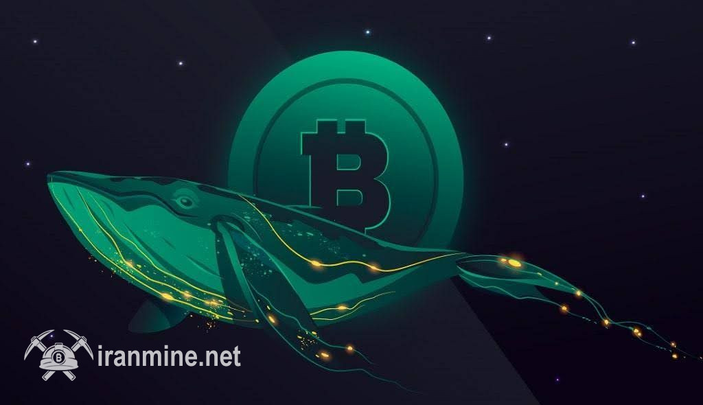 ورود ۸ میلیارد دلار بیت کوین توسط نهنگ‌ها به بایننس؛ آیا فروش بزرگ در راه است؟ | ایران ماین